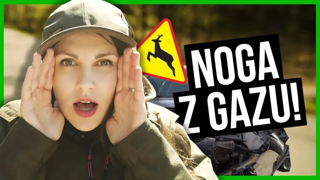 Myśliwi apelują w wakacje – noga z gazu!