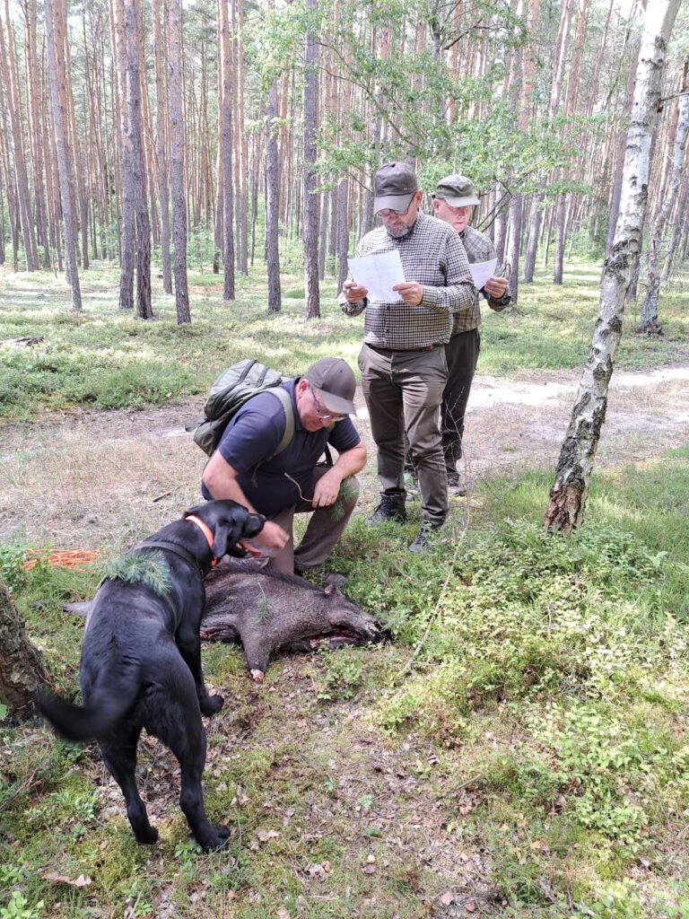 Mamy nowych sędziów pracy psów myśliwskich PZŁ w specjalności tropowce i posokowce