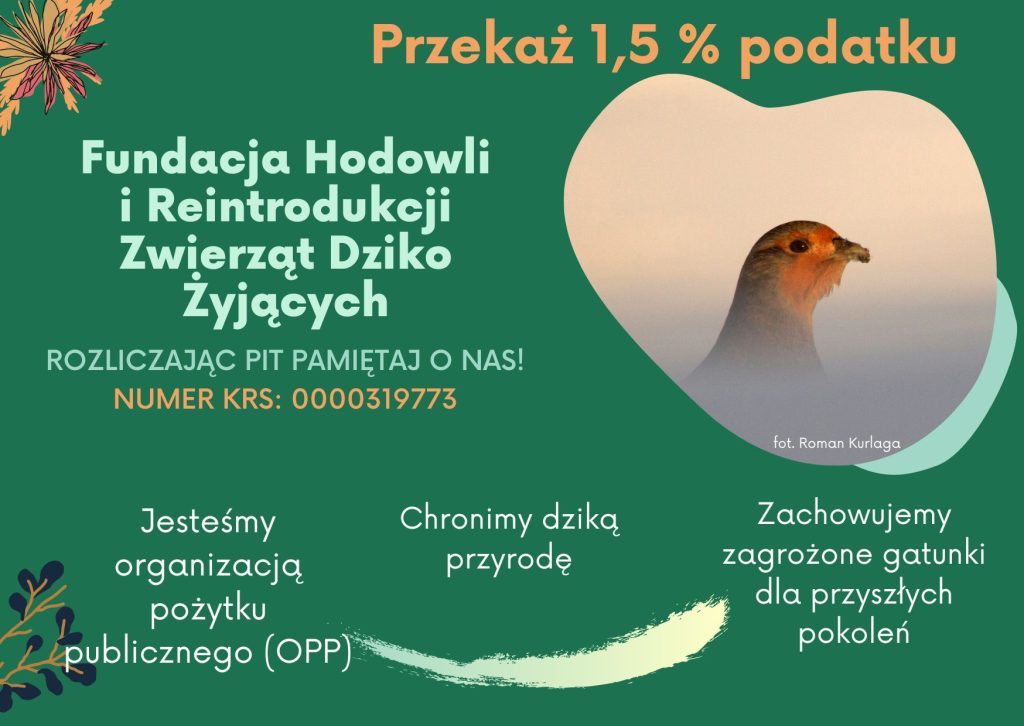 Przekaż 1,5 proc. podatku na Fundację Hodowli i Reintrodukcji Zwierząt Dziko Żyjących