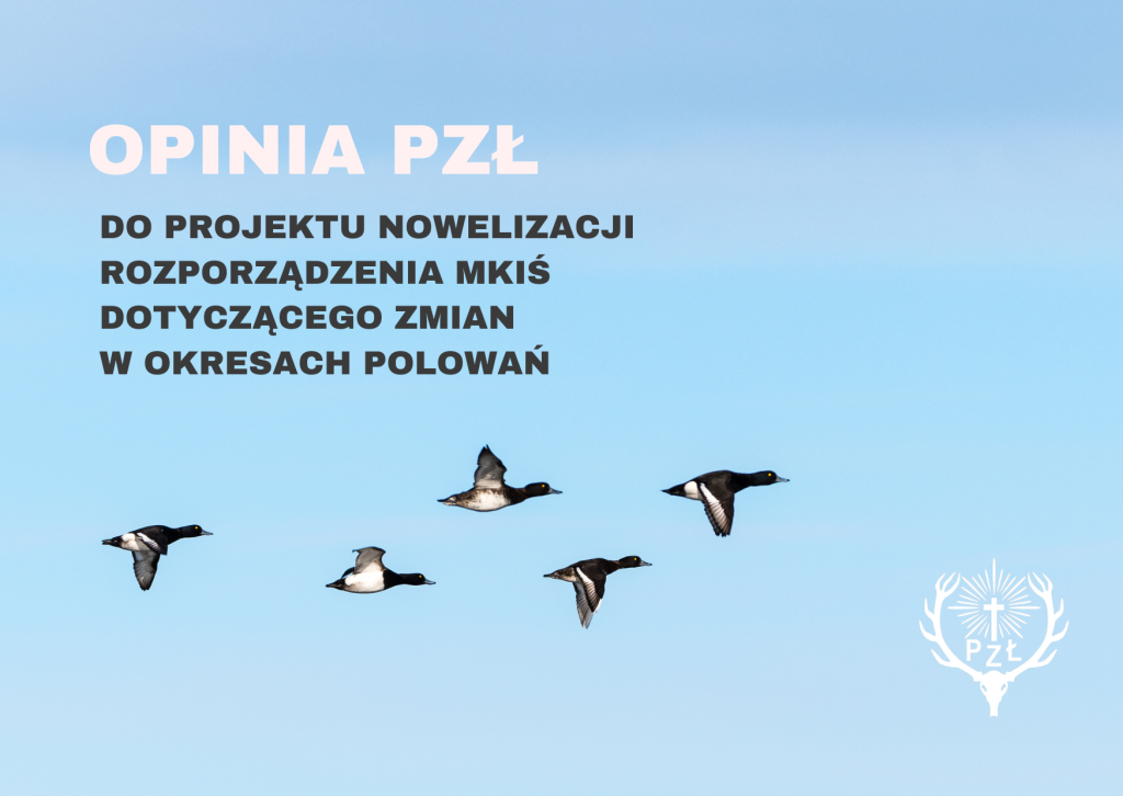 Opinia Polskiego Związku Łowieckiego w sprawie projektu zmian okresów polowań