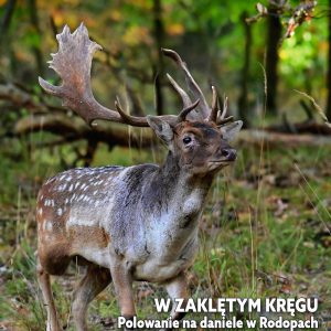Miesięcznik Łowiec Polski - Numery archiwalne