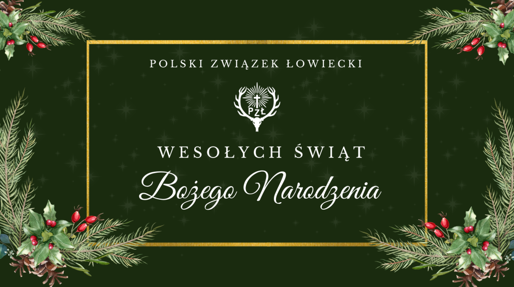 Życzenia z okazji Świąt Bożego Narodzenia i Nowego Roku 2026!