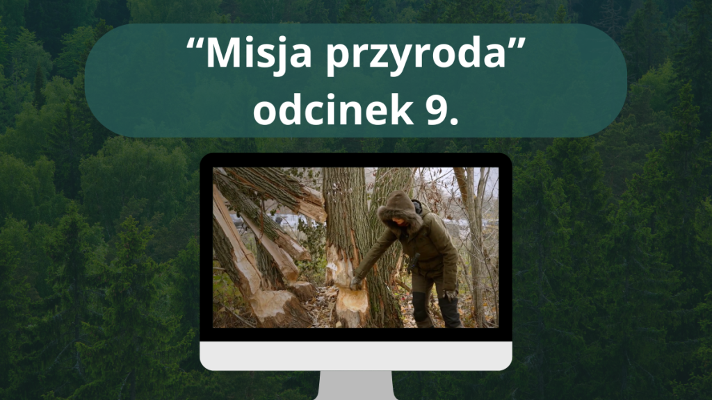Serial „Misja przyroda” – odcinek 9.