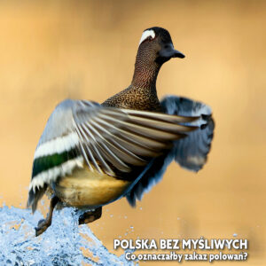 Miesięcznik Łowiec Polski - Numery archiwalne